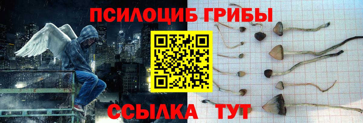цена   Псилоцибиновые грибы Psilocybine cubensis  Вход с VPN  Псилоцибиновые грибы мицелий  Кандалакша 